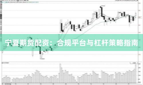 宁夏期货配资：合规平台与杠杆策略指南